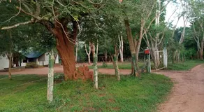 Park view Bungalow Wilpattu - Image 5