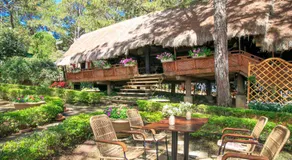 TTC Dreamy Hill Resort - Unlimited Access to TTC World - Thung Lung Tinh Yeu - Image 3