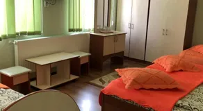 Casa cu pauni - Image 2