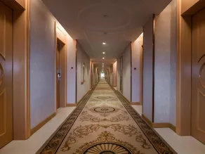 Vienna Hotel Changsha Yanghu Hanpu - Image 2
