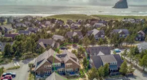 Seas the Day in Shorepine - Image 3