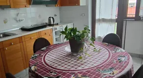 La Magnolia - Image 3