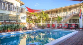 The Big Coconut Guesthouse - Gay Men's Resort - Image 3