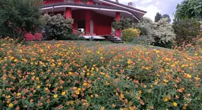 'L SASS - Image 5