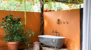 Liedjiesbos Urban Olive Farm Accommodation - Image 3