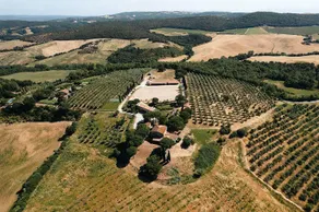 Agriturismo Sole - Image 4