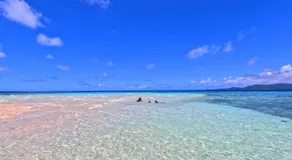 小浜島カーリー商會 - Image 4