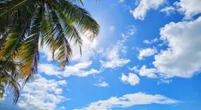Kayma Beach - Image 5