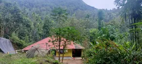 green heaven homestay Horanadu - Image 5