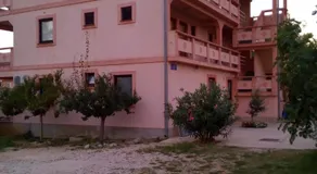 Maslina - Image 4