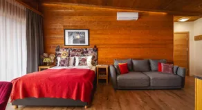 APARTAMENTY U HARREGO BOUTIQUE SPA masaże, sauna, tężnia solankowa , balkon , taras , klimatyzacja , parking - Image 2