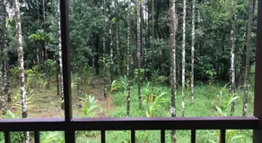 Standard family hut - Image 5