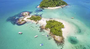 Encanto do Beija-flor - Image 4