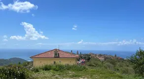 Dente di Leone - Image 3