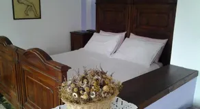 Fattoria del pino - Image 2