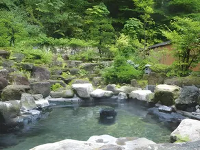 ShirabuOnsen Higashiya - Image 4