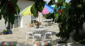 Au thé à la menthe - Image 3