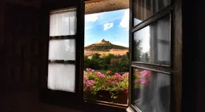 El manzano - Image 2