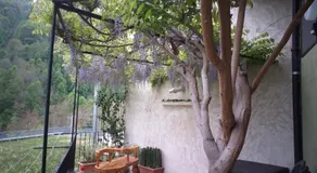 Bed & Breakfast Barba Bertu di Frassino - Image 5