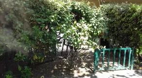 Studio Jardinet - Image 4