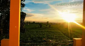 Airport Luxury Nature Homestay- Near Jolly Grant Airport Dehradun - Image 4