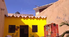 VAMO A ROLA - Image 5