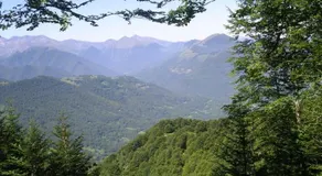 Au détour Du Larrech - Image 3