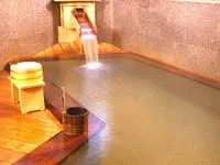 Togatta Onsen Tamaya Ryokan - Image 4