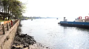 Nosso Chalé na Ilha - Image 5