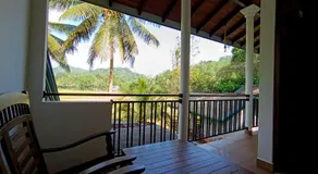 Rainforest Nest - Image 5