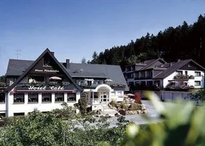 Urlaubs- und Wellnesshotel Friederike - Image 5