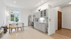 VILA GALA ubytování apartmány v secesní vile soukromé PARKOVÁNÍ u domu ZDARMA - Image 3