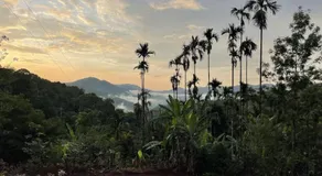 The View 360 Naturestay - Image 3