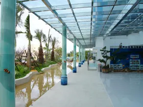 Clownfish Resort - Image 2