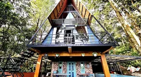 Wild root stay- Orchid Chalet - Image 2