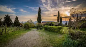 Fattoria Montalbano - Image 4
