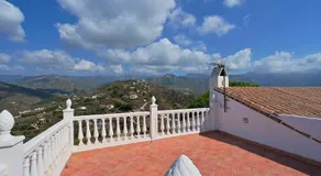 Palm tree villa - Image 4