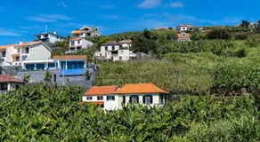 Sleep Among the Bananas! Rustic Cottage with Trails at Your Doorstep - Image 3