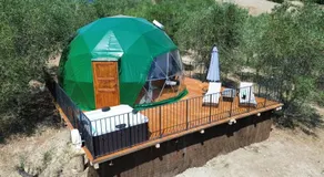 The Land Before Time - Quad & Saddle Retreats - Image 5