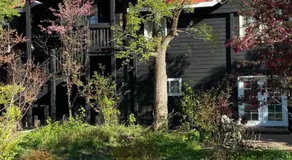The Dandelion SV-Wish. B&B, Reimagined - Image 2