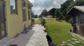 Villa Paola - Image 5