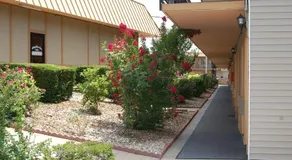 Executive Inn and Suites Springdale - Image 4