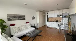 PURA VIDA - Image 2