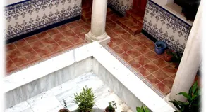 Centro Ornitológico El Primillar - Image 5