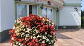 Begonia Vendeghaz - Image 2