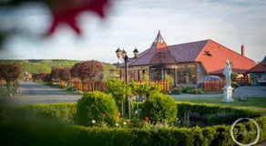 Castel Haller - Image 5