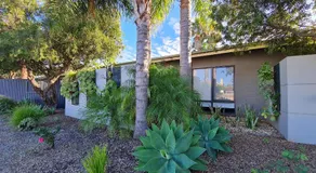 La cour, Port Pirie - Image 4