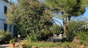 Isola d'Elba casa vacanze - Villa Portello - magnetite - la casina - Image 5