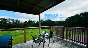 GORGE Chocolates Tiny House - Image 3