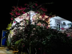 FLOWER SHADE VILLA - Image 2